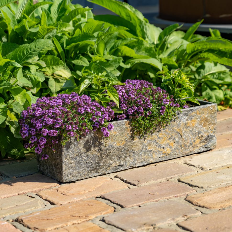 Small Oblate Slate Planter | Natural Slate Vases & Sculptures from Foras