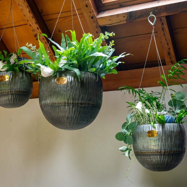 Angelica Hanging Planters