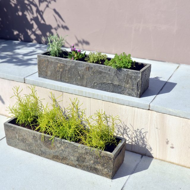 8 Top Tips for Planting Troughs FORAS