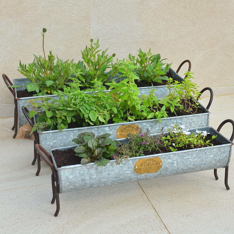 Snuffle Vintage Metal Trough - Set of 2 | Pots & Planters from Foras